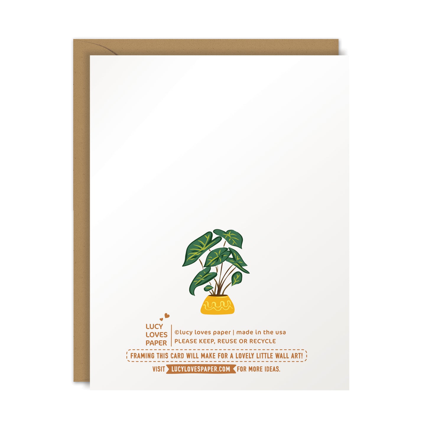 BOX SET | BOOK SHELVES NOTE CARD