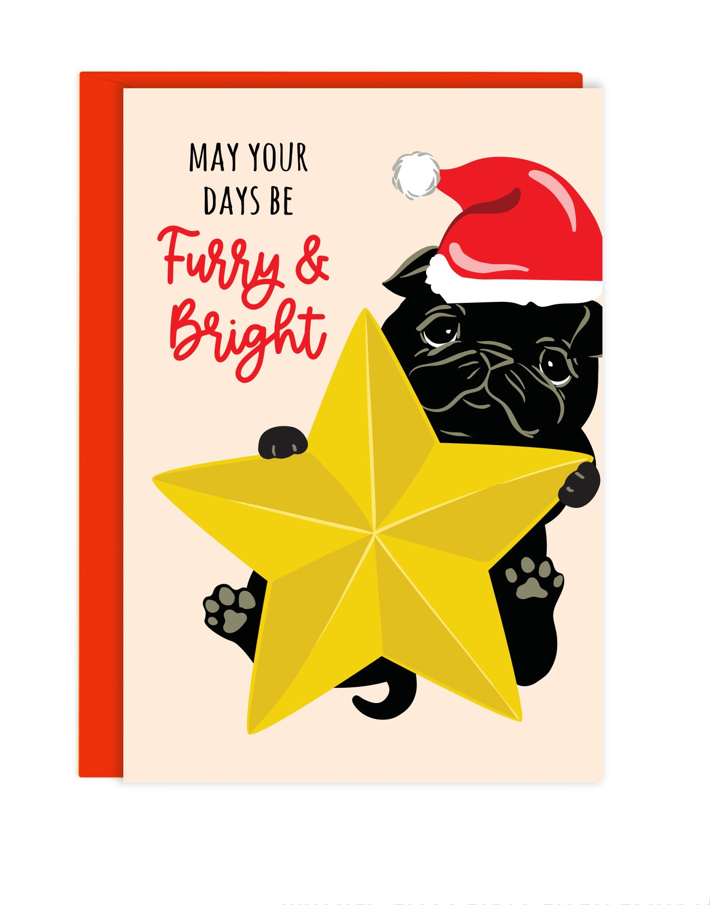 FURRY & BRIGHT ENCLOSURE CARD