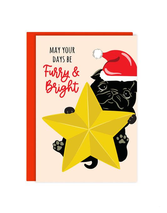 FURRY & BRIGHT ENCLOSURE CARD