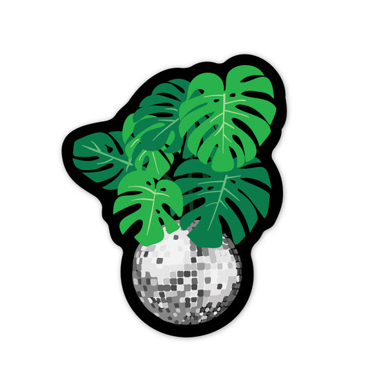 DISCO BALL & PLANTS