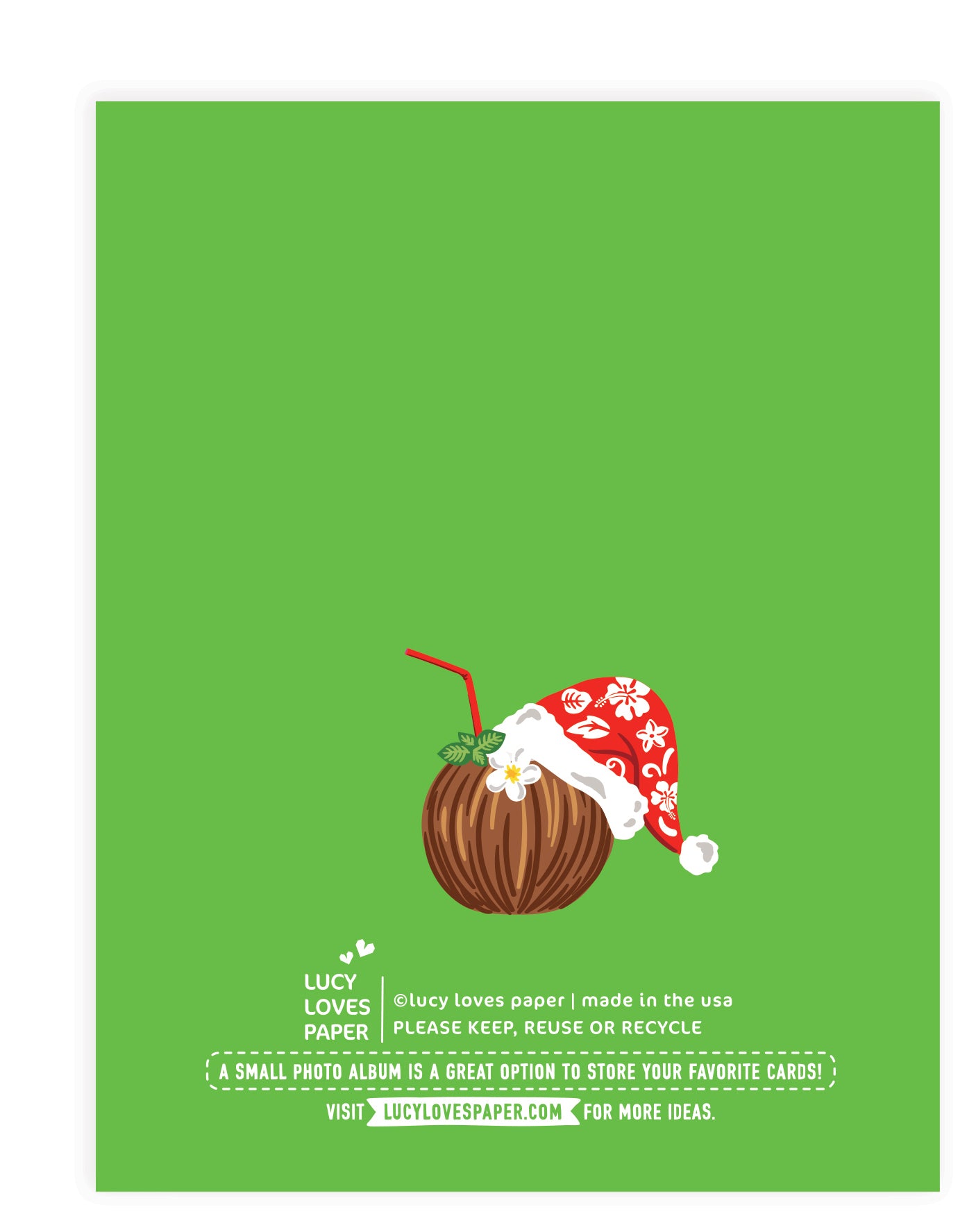 TROPICAL SANTA CHRISTMAS CARD