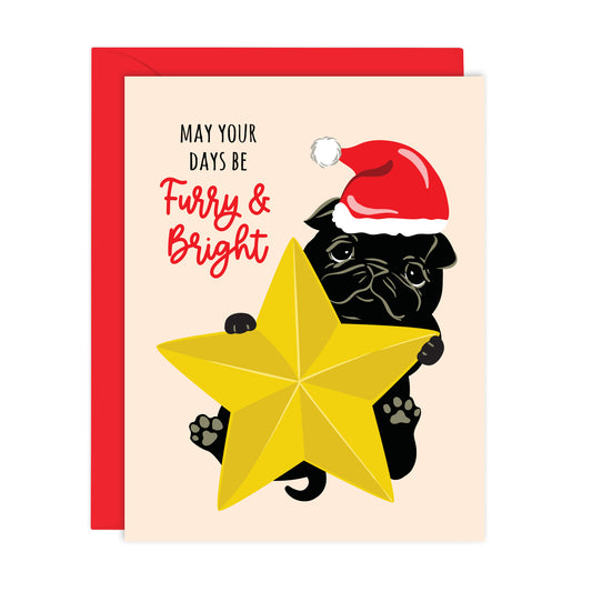 MAY YOUR DAYS BE FURRY & BRIGHT HOLIDAY CARD