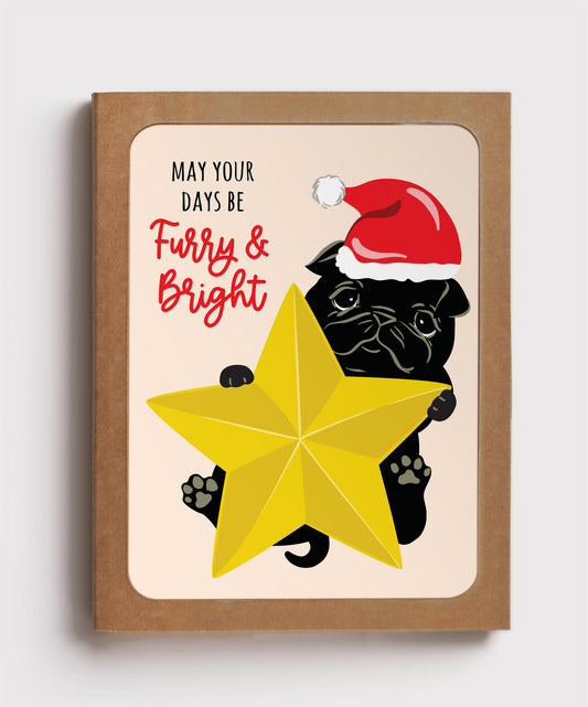 BOX SET | FURRY & BRIGHT HOLIDAY CARD