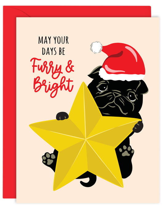 MAY YOUR DAYS BE FURRY & BRIGHT HOLIDAY CARD